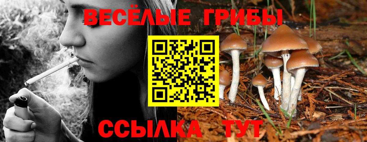 Галлюциногенные грибы MAGIC MUSHROOMS Саров