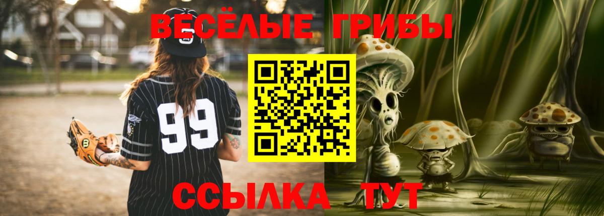 Галлюциногенные грибы прущие грибы  Вход с VPN  Саров 